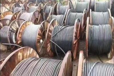 武漢回收服務全解析 資源循環利用，共建綠色城市